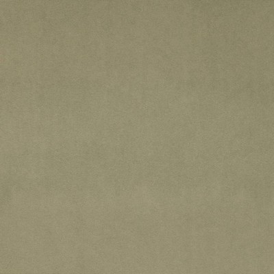 Charlotte Fabrics D4514 Sage