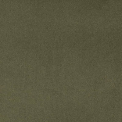 Charlotte Fabrics D4516 Dill