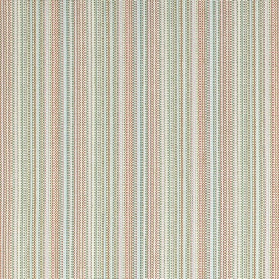 Charlotte Fabrics D4533 Canopy Grass