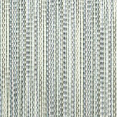 Charlotte Fabrics D4534 Canopy Pool