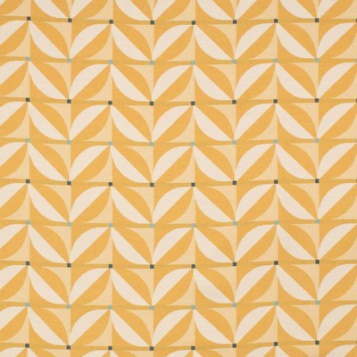 Charlotte Fabrics D4552 Patio Sun