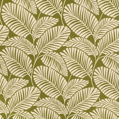 Charlotte Fabrics D4558 Palm Grass