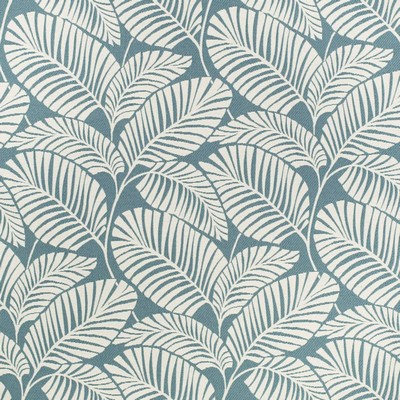 Charlotte Fabrics D4559 Palm Pool