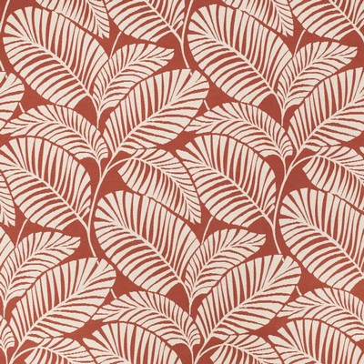 Charlotte Fabrics D4560 Palm Poppy