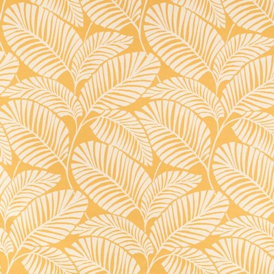 Charlotte Fabrics D4562 Palm Sun