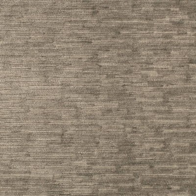 Charlotte Fabrics D4591 Pewter