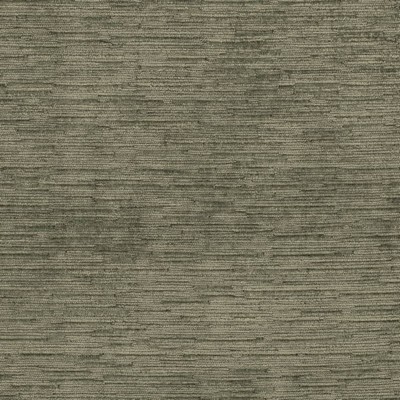 Charlotte Fabrics D4593 Juniper