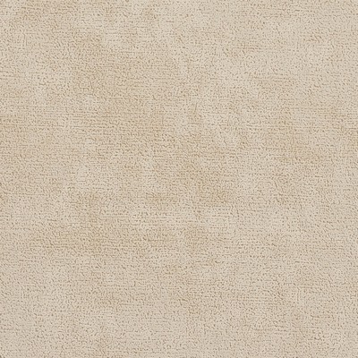 Charlotte Fabrics D508 Bisque Etch