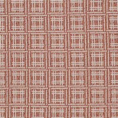 Charlotte Fabrics F300-247 