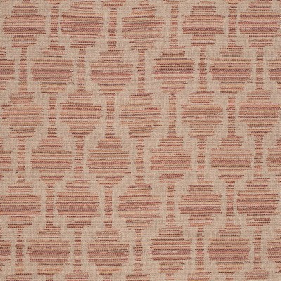 Charlotte Fabrics F300-248 