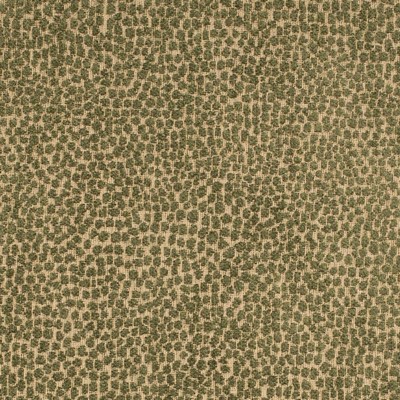 Charlotte Fabrics F300-265 