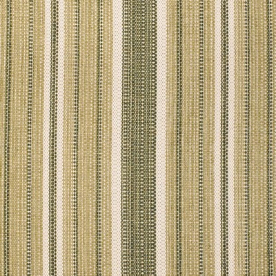 Charlotte Fabrics F300-272 