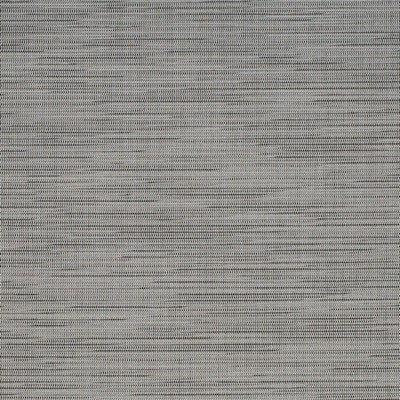 Charlotte Fabrics S310 Silver