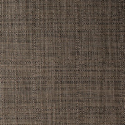 Charlotte Fabrics S314 Ash