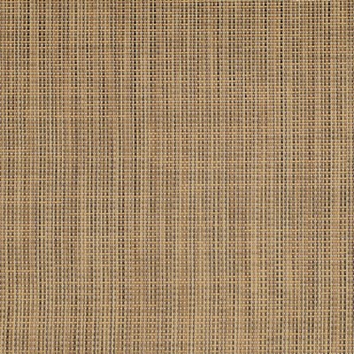 Charlotte Fabrics S319 Chestnut