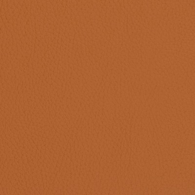 Charlotte Fabrics V427 Burnt Sienna