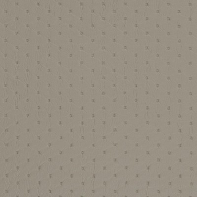 Charlotte Fabrics V465 Pewter Diamond