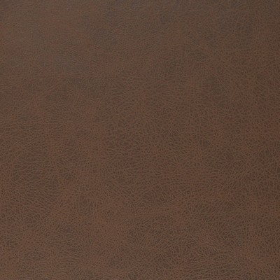 Charlotte Fabrics V855 Hickory