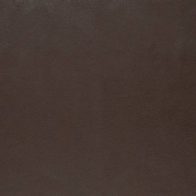 Charlotte Fabrics V856 Chocolate