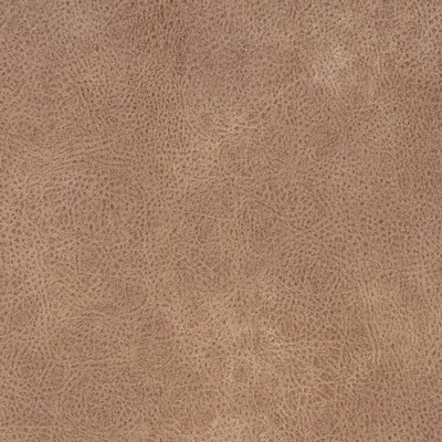 Charlotte Fabrics V868 Buckskin