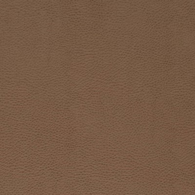 Charlotte Fabrics V869 Bronze