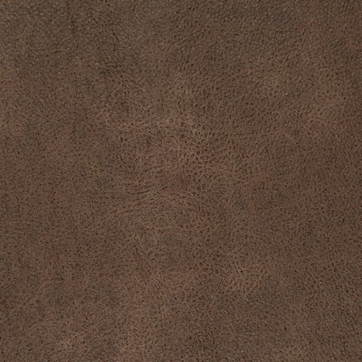 Charlotte Fabrics V870 Bark