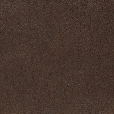 Charlotte Fabrics V873 Bison