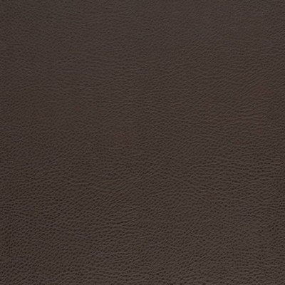 Charlotte Fabrics V874 Walnut