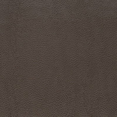 Charlotte Fabrics V876 Graphite