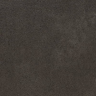 Charlotte Fabrics V878 Charcoal