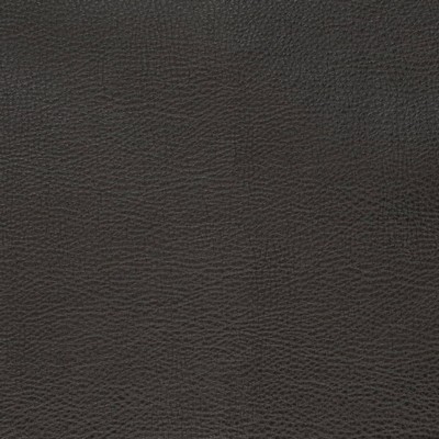 Charlotte Fabrics V879 Ebony