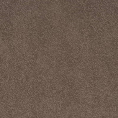 Charlotte Fabrics V881 Coffee