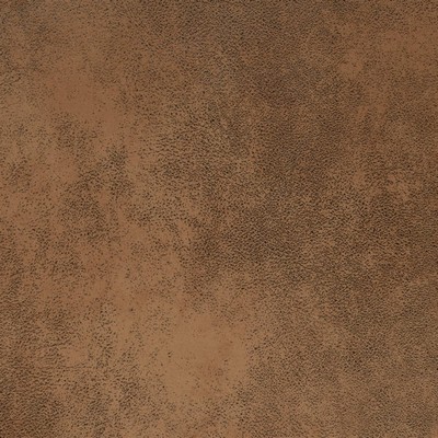 Charlotte Fabrics V886 Copper