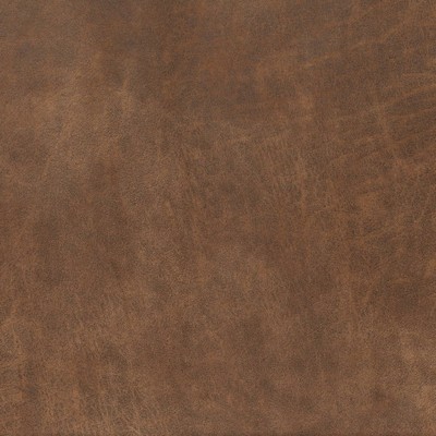 Charlotte Fabrics V890 Cinnamon