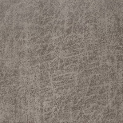 Charlotte Fabrics V893 Concrete