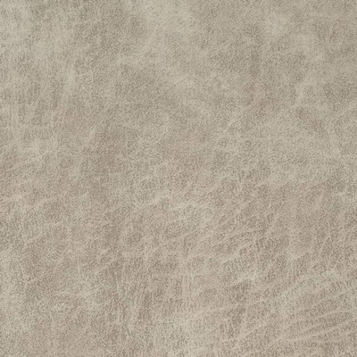 Charlotte Fabrics V901 Bone