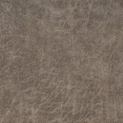 Charlotte Fabrics V902 Stone