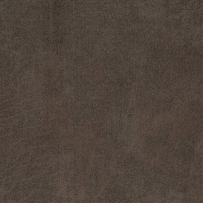 Charlotte Fabrics V904 Mink