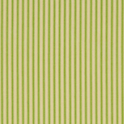 Charlotte Fabrics X802 Green