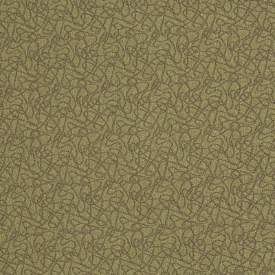 Charlotte Fabrics Y1116 Olive