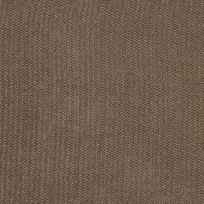 Charlotte Fabrics Y1118 Teak