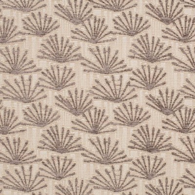 Charlotte Fabrics Y1165 Taupe