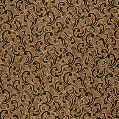 Charlotte Fabrics Y1276 Espresso