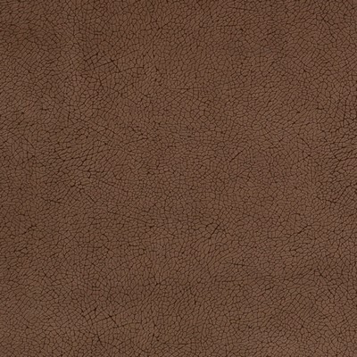 Charlotte Fabrics Y1283 Chocolate Mosaic