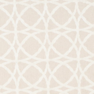 Charlotte Fabrics Y1301 Ivory Twist