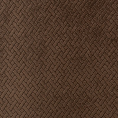 Charlotte Fabrics Y1321 Chocolate