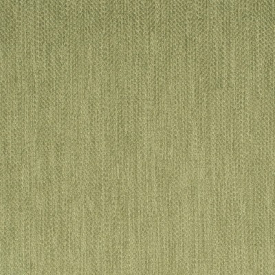 Charlotte Fabrics Y1388 Meadow