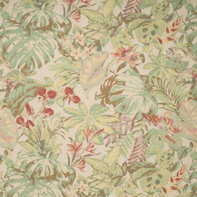 Charlotte Fabrics Y1412 Orchid