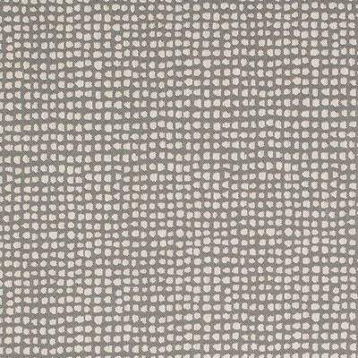 Charlotte Fabrics Y1419 Pewter