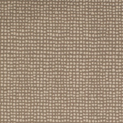 Charlotte Fabrics Y1423 Sand